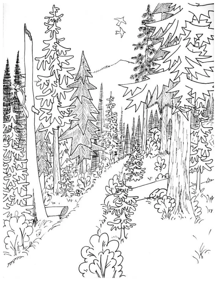 Jalur hutan