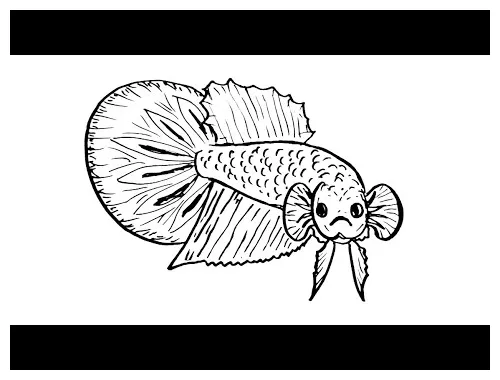 Detail mewarnai gambar ikan cupang koleksi nomer 15