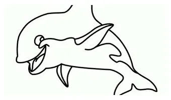 Gambar ikan cupang mewarnai gambar ikan cupang untuk mewarnai