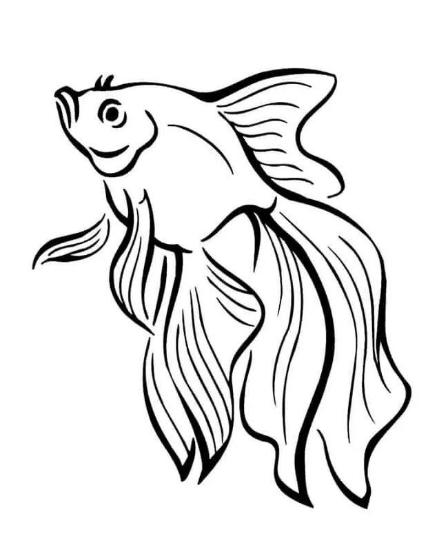 Mewarnai gambar ikan cupang