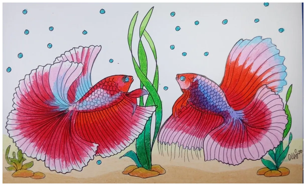 Mewarnai gambar ikan cupang