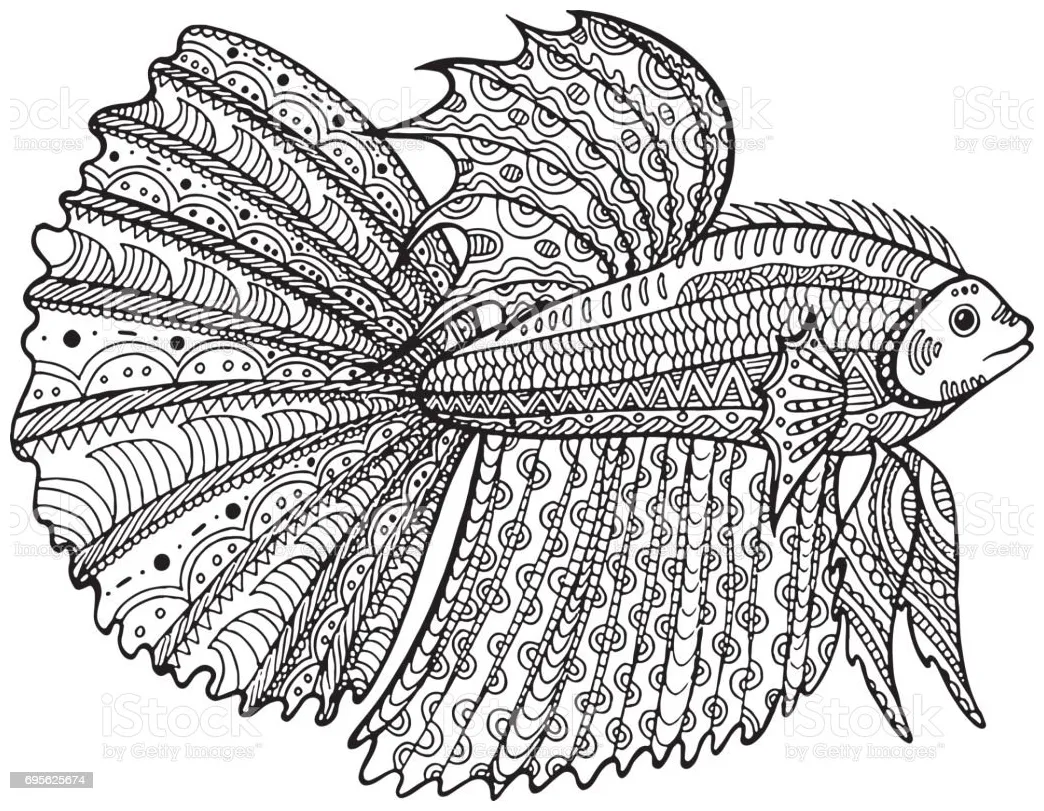 Detail mewarnai gambar ikan cupang koleksi nomer 4