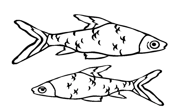 Detail Mewarnai Ikan Hias Koleksi Nomer 30