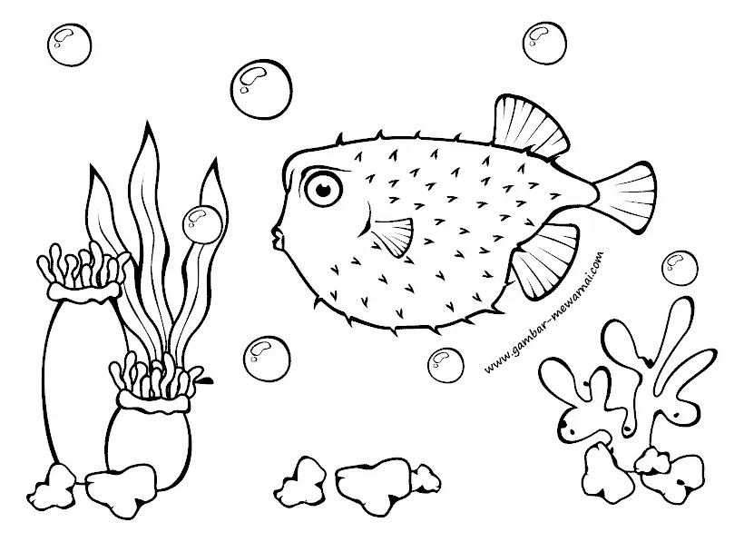 Detail Gambar Mewarnai Ikan Hias Koleksi Nomer 29