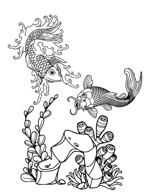 Ikan koi yang bagus 2