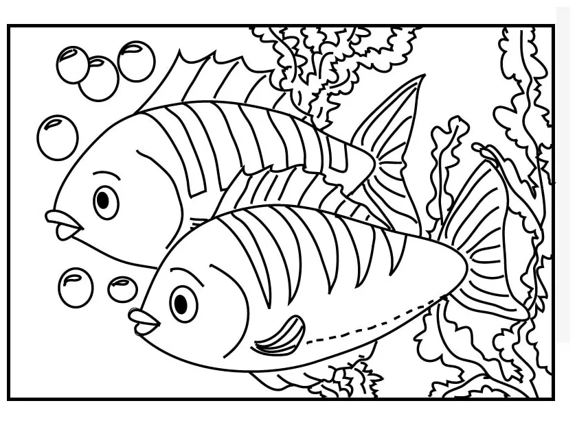 Dua ikan