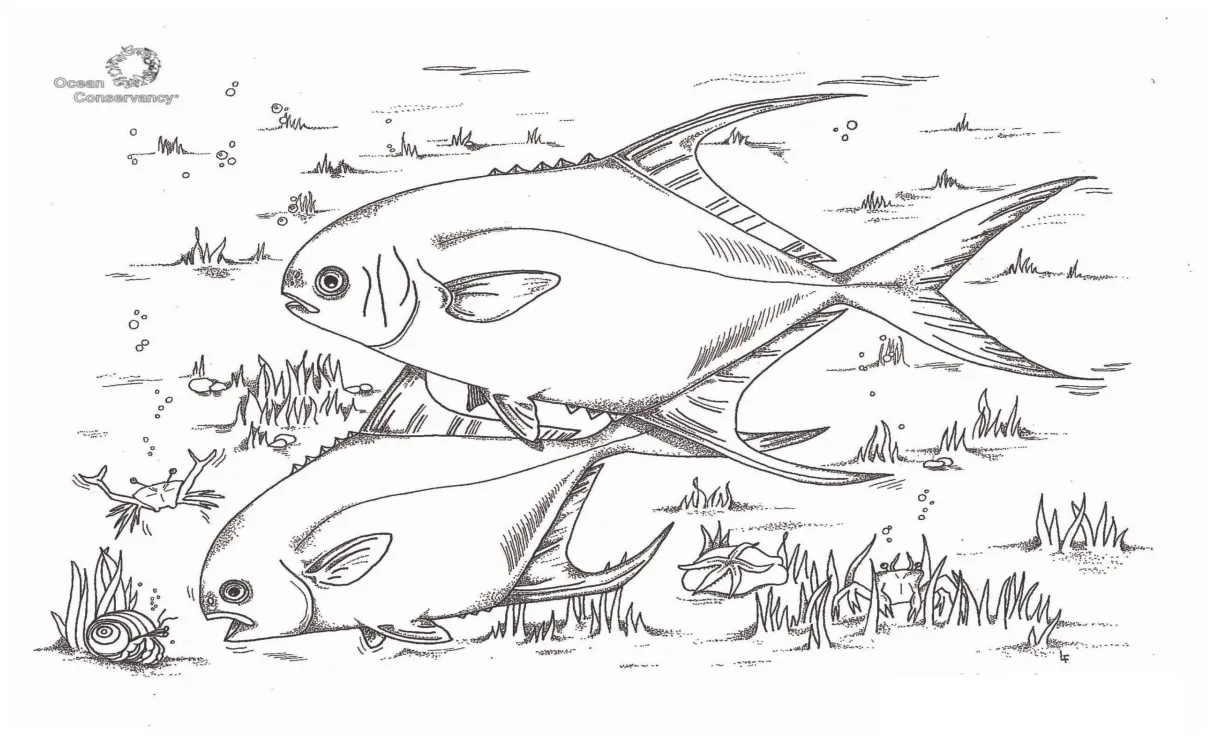 Dua Ikan Normal