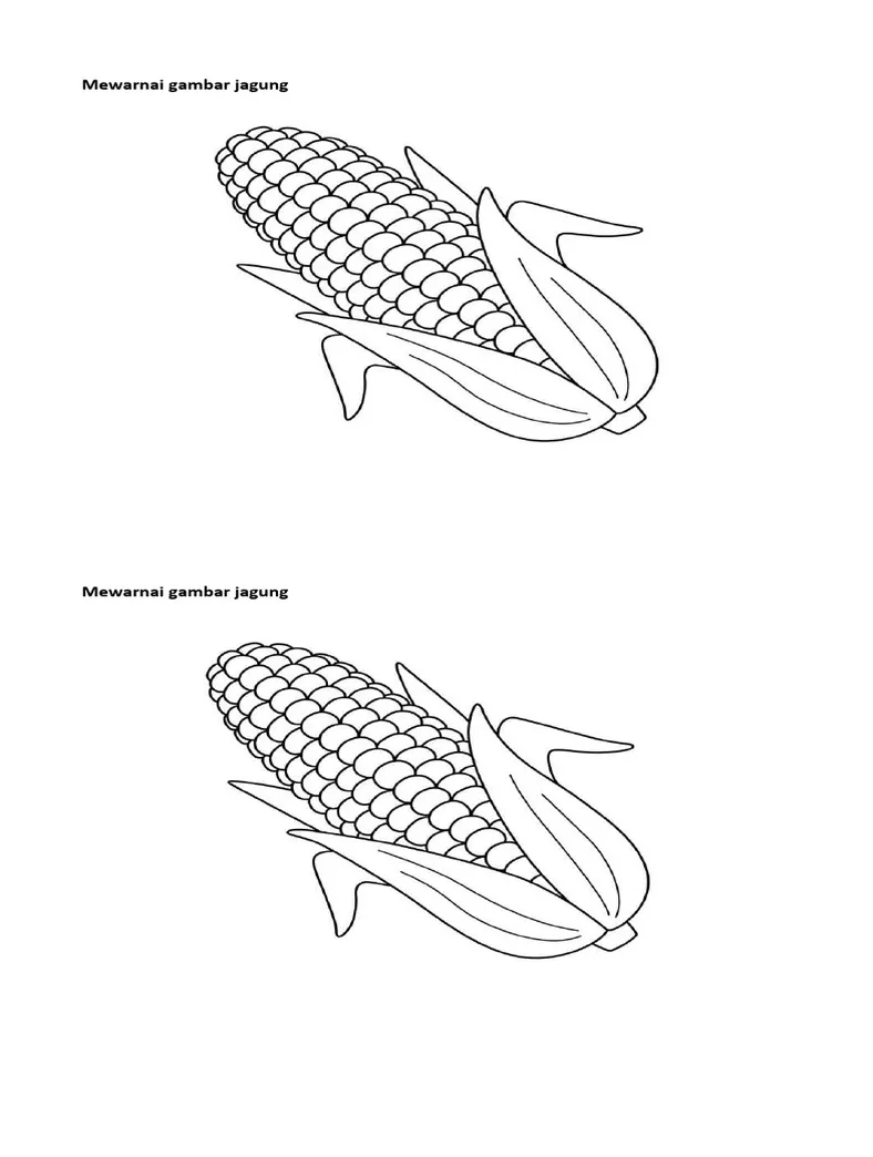 Mewarnai gambar jagung pdf