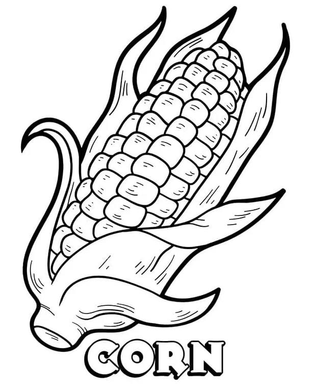 Jagung bagus