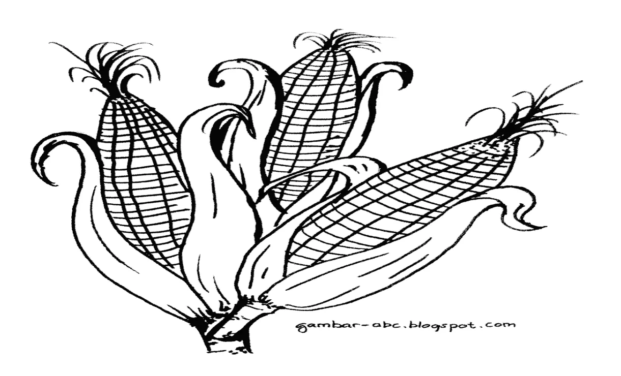 Gambar belajar mewarnai