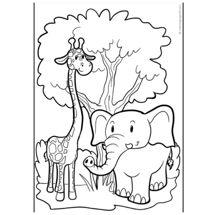 Jual gambar sketsa mewarnai edisi hewan alam gajah jerapah / seketsa