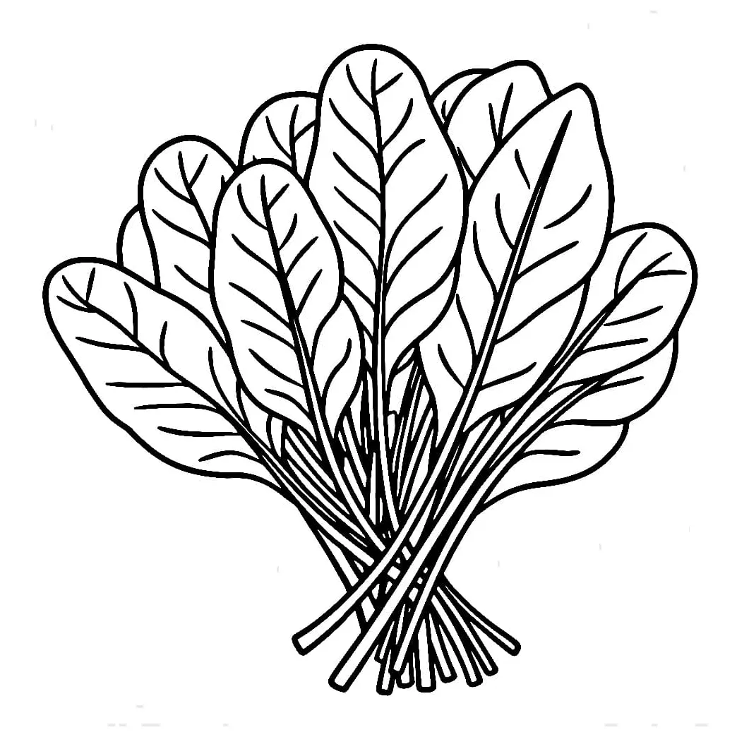 Sayur Bayam