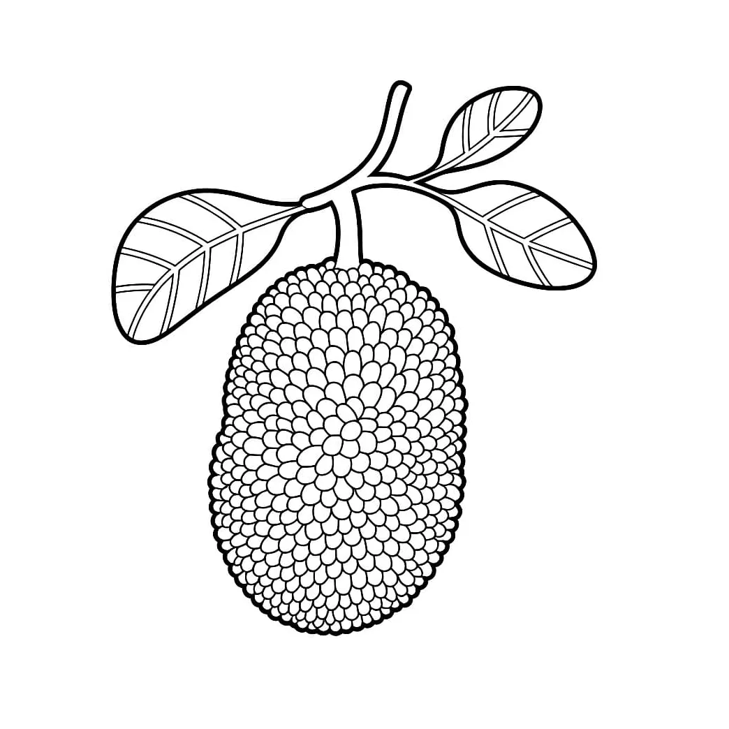 Nangka