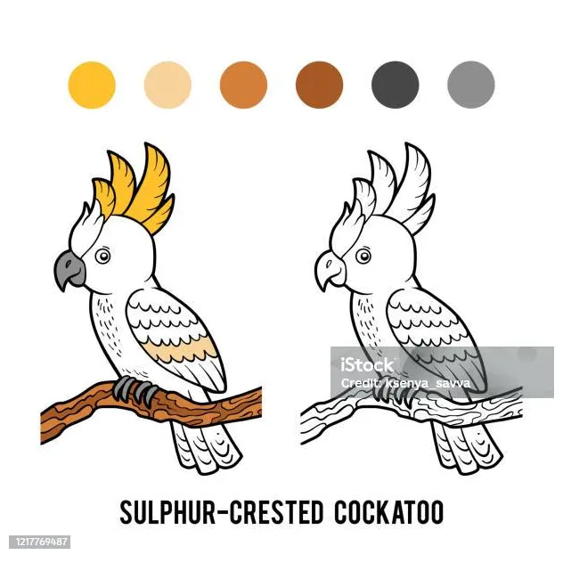 Buku jambul belerang ilustrasi stok unduh gambar