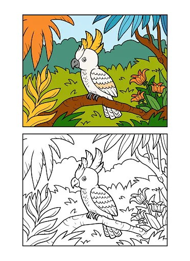 Buku mewarnai burung beo kakatua di hutan hujan ilustrasi stok unduh