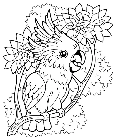 Kartun kakatua burung beo buku mewarnai ilustrasi lucu ilustrasi stok
