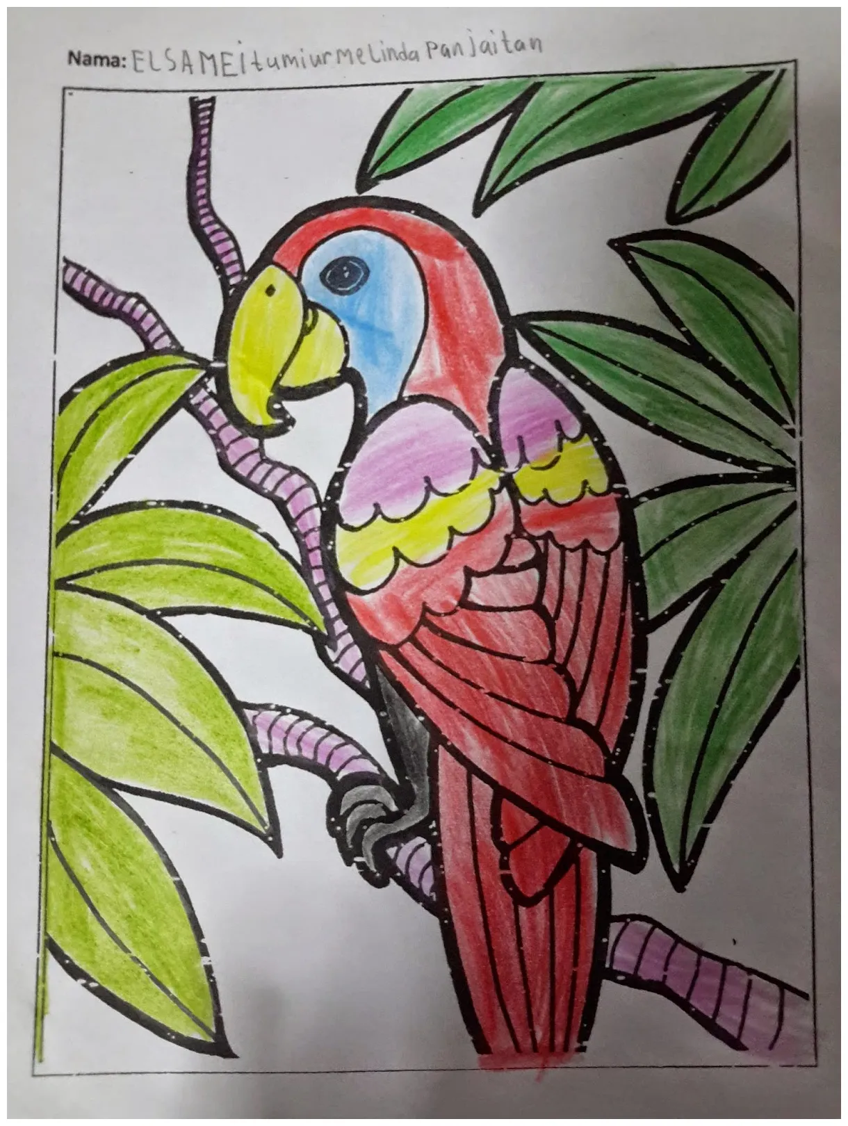 Sekolah minggu cibadak mewarnai burung kakatua