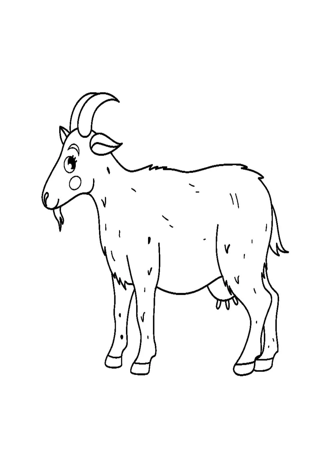 Kambing senyum comel