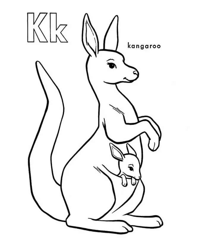 K untuk kanguru