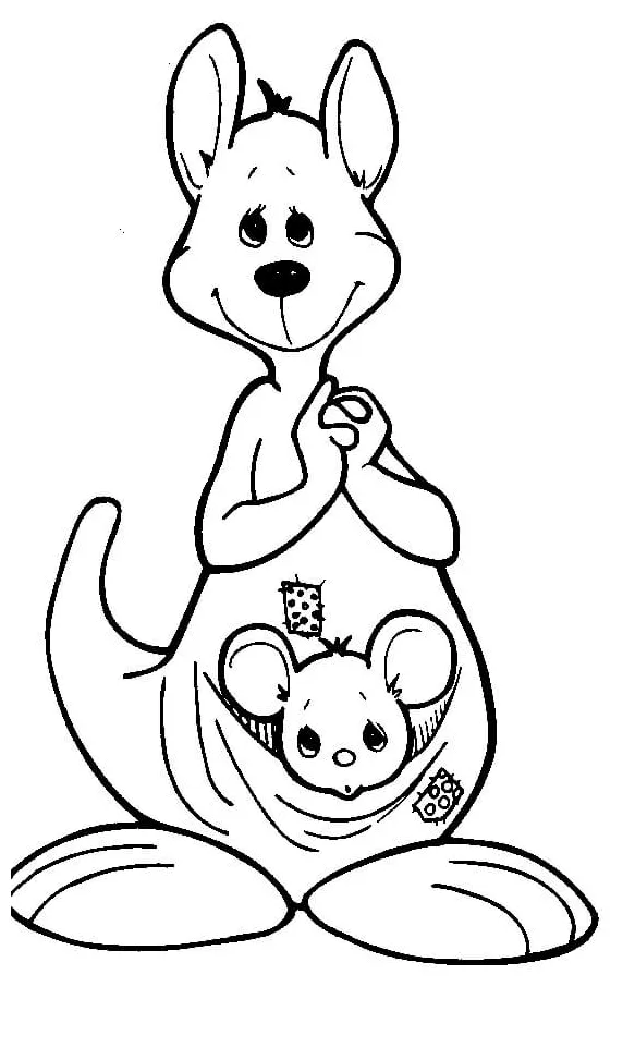 Kanguru kartun lucu