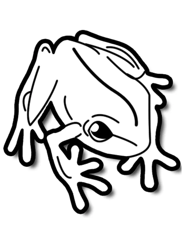 Seekor katak