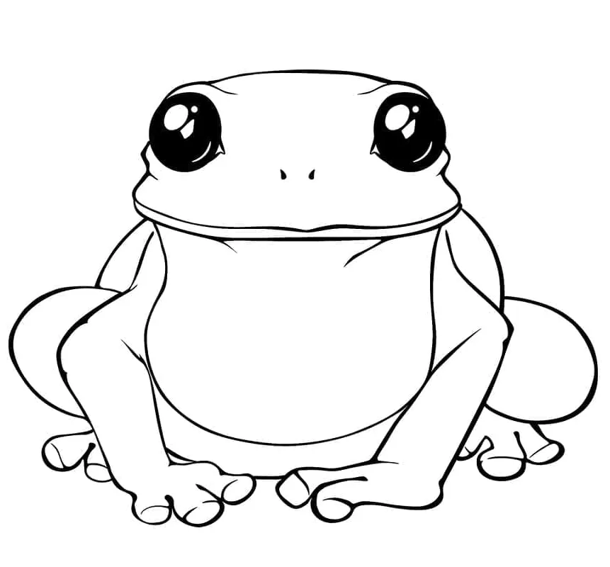 Katak yang comel