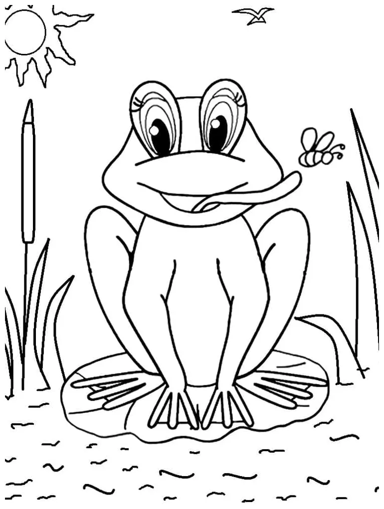 Katak boleh cetak percuma
