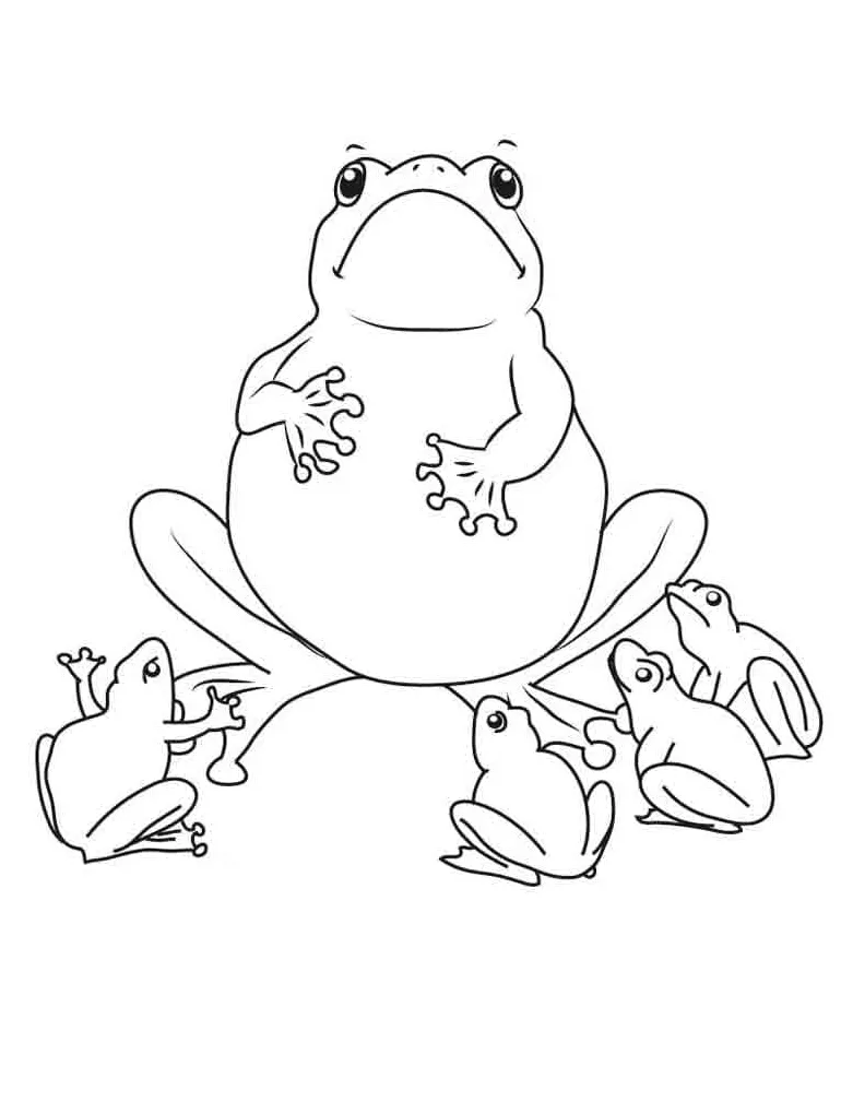 Keluarga katak