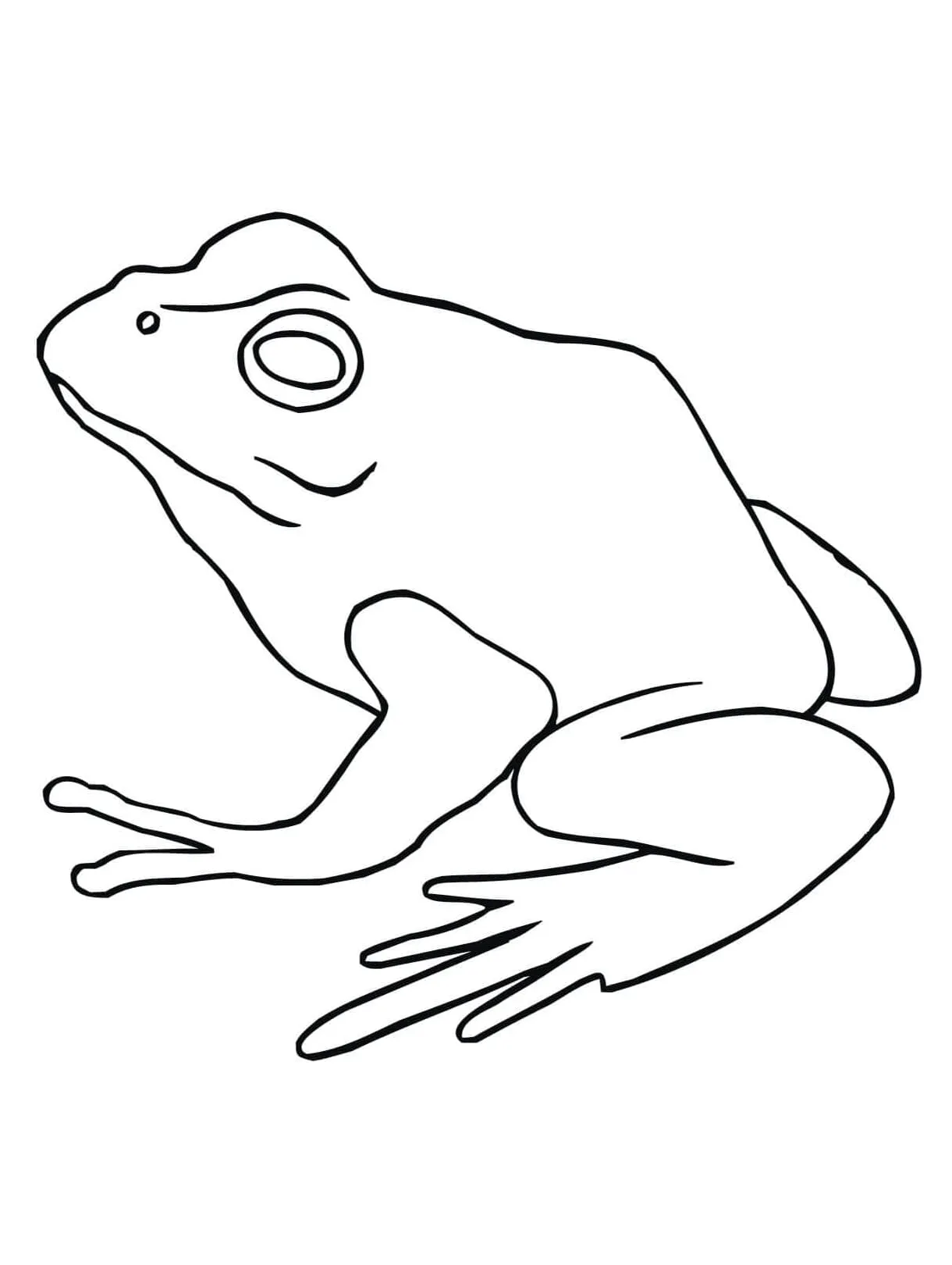 Katak biasa