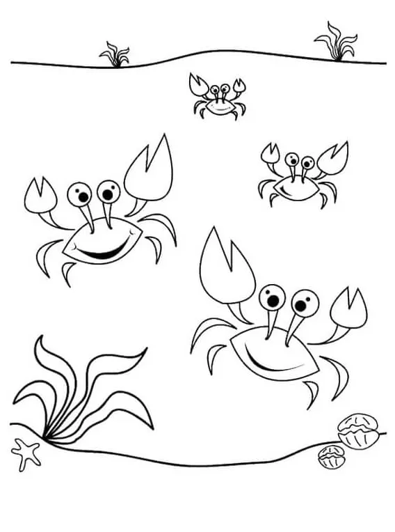 Empat kepiting menari