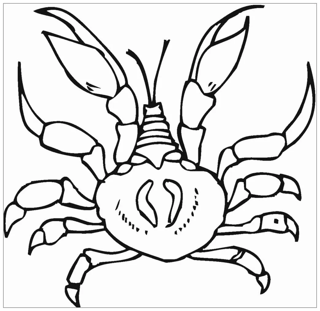 Menggambar kepiting normal