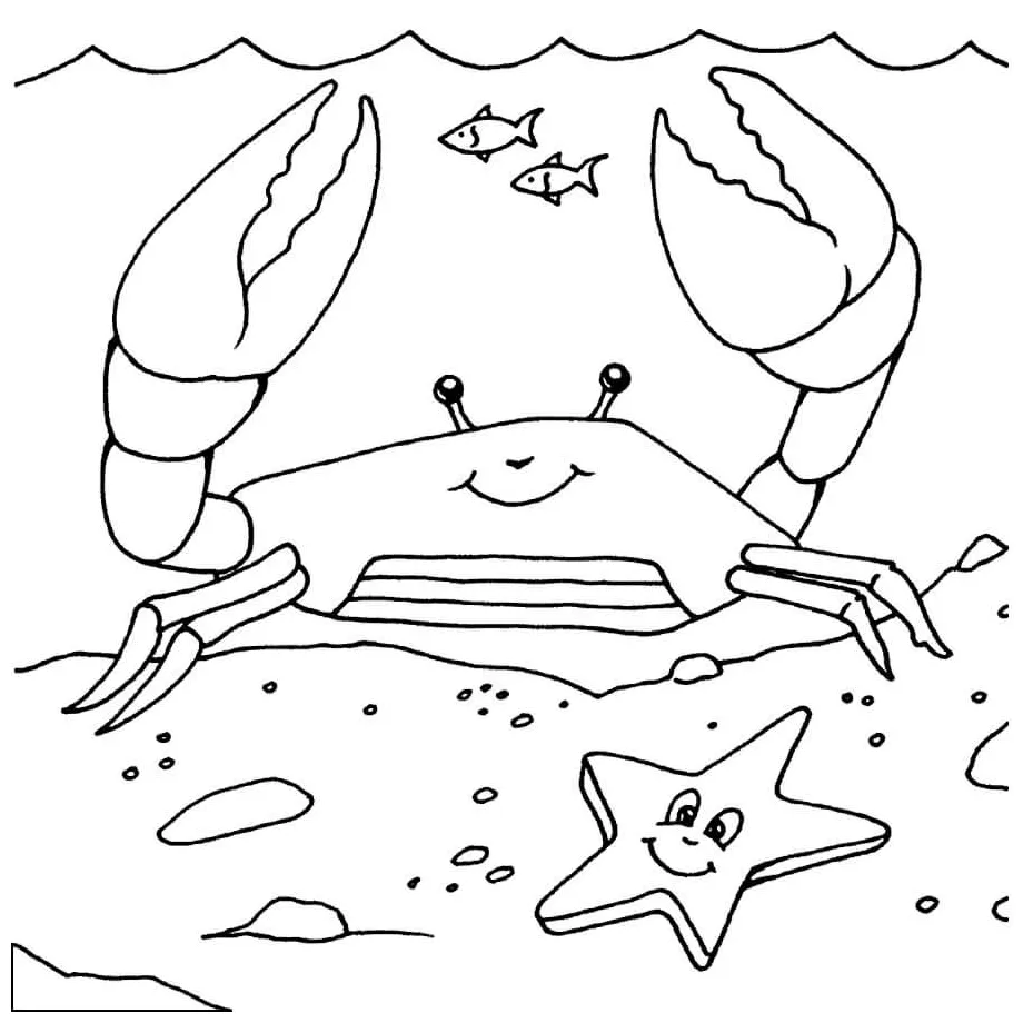 Kepiting dengan bintang laut
