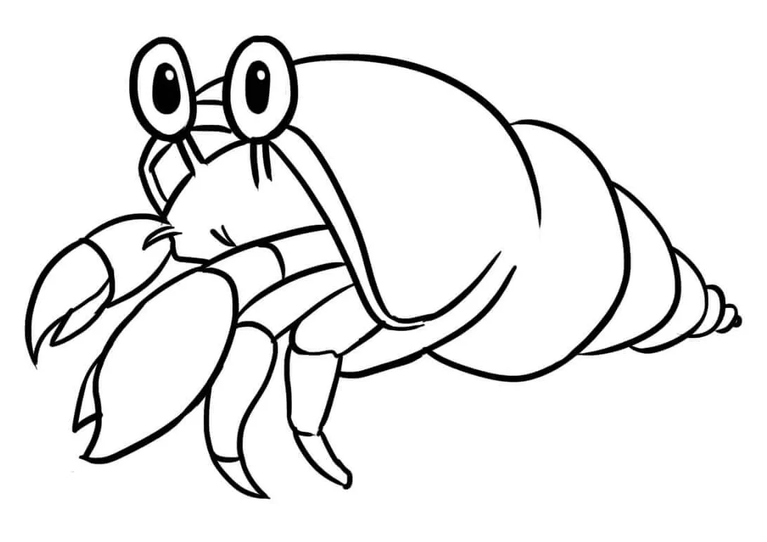 Kepiting pertapa kecil yang lucu