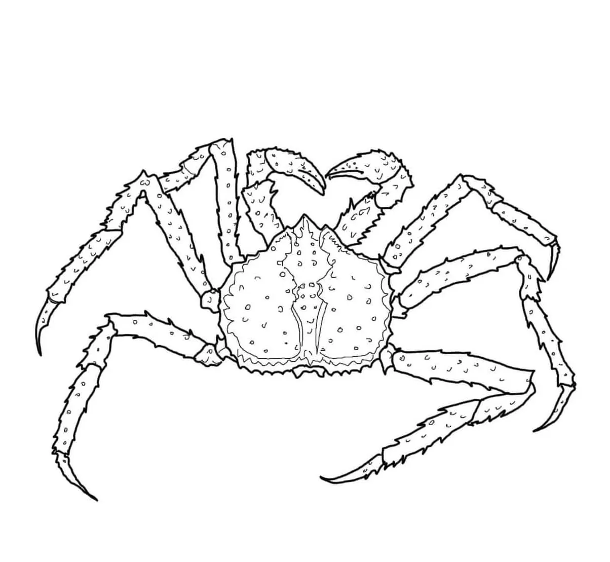 Raja kepiting