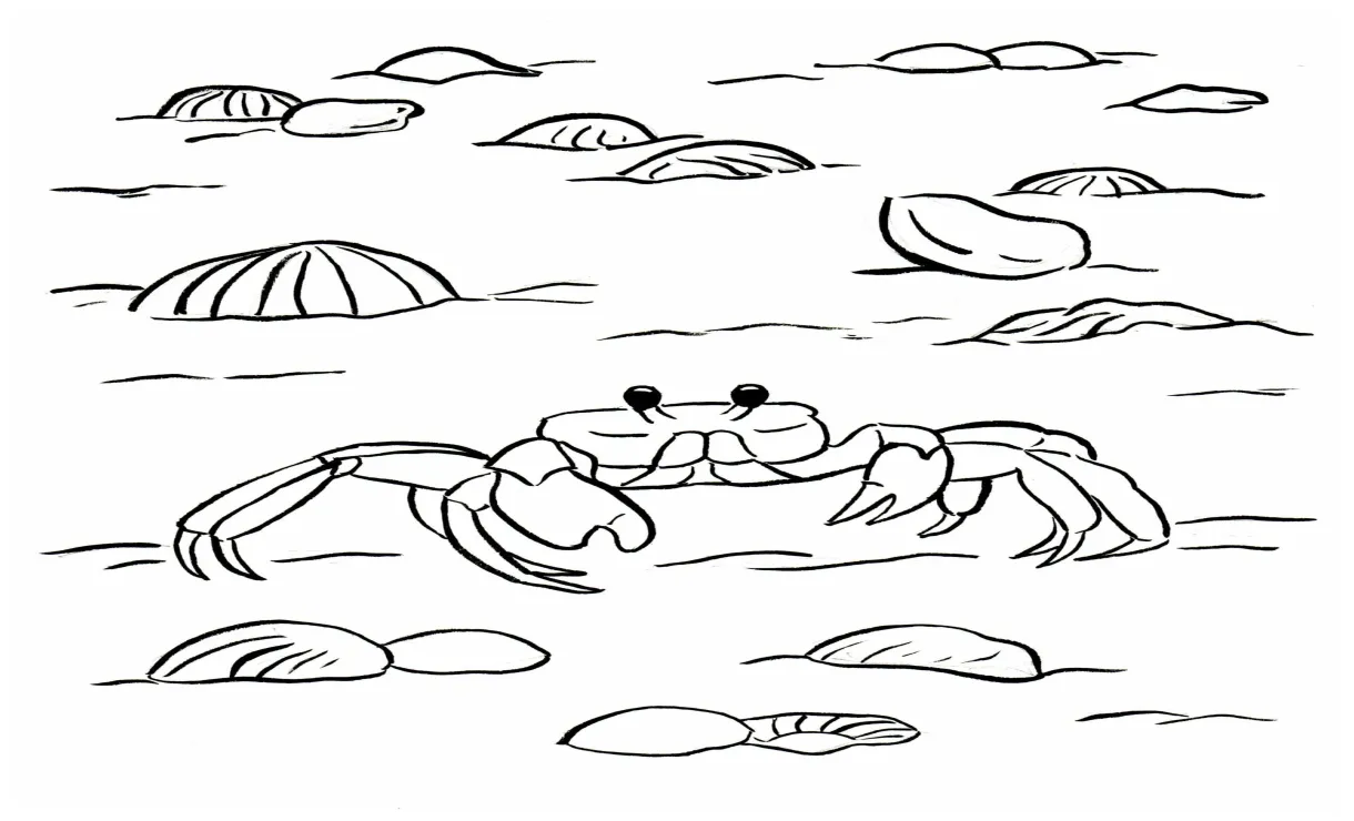Berjalan kepiting
