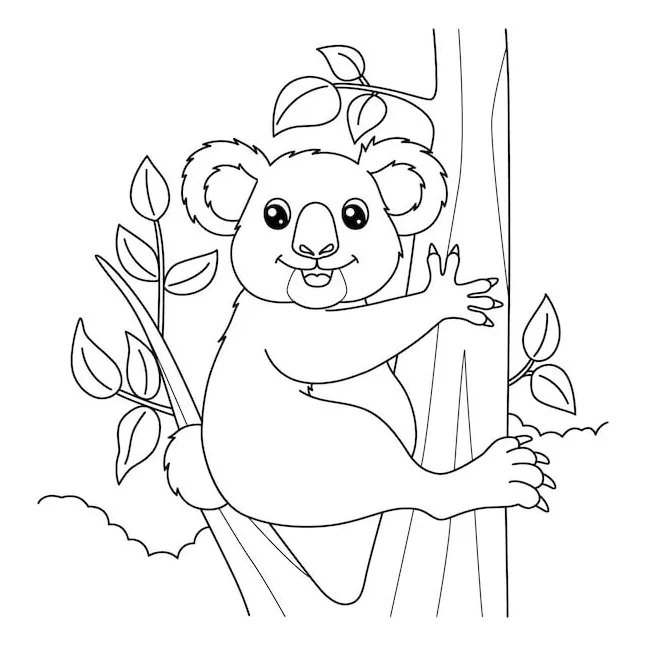 Koala menyenangkan