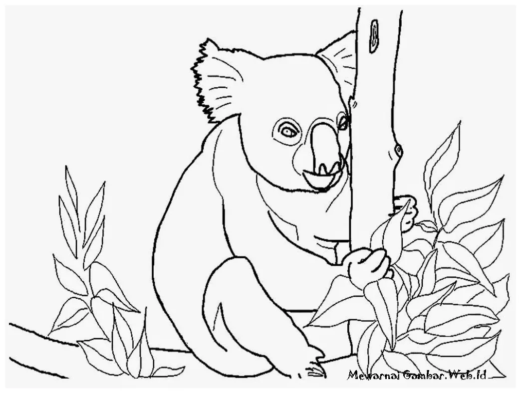 Mewarnai gambar koala imut mewarnai gambar
