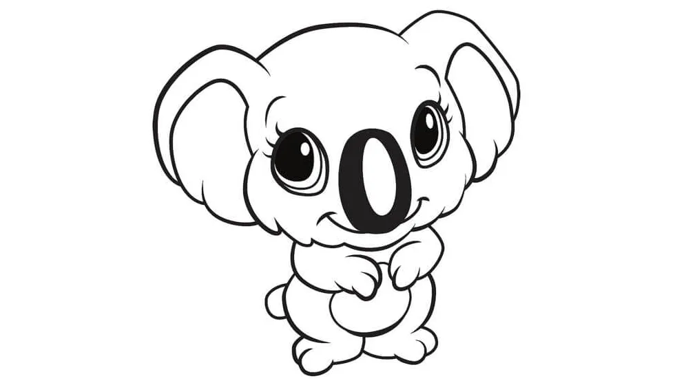 Koala dasar
