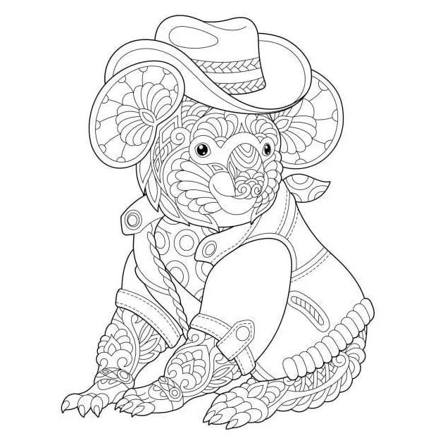 Koala untuk dewasa
