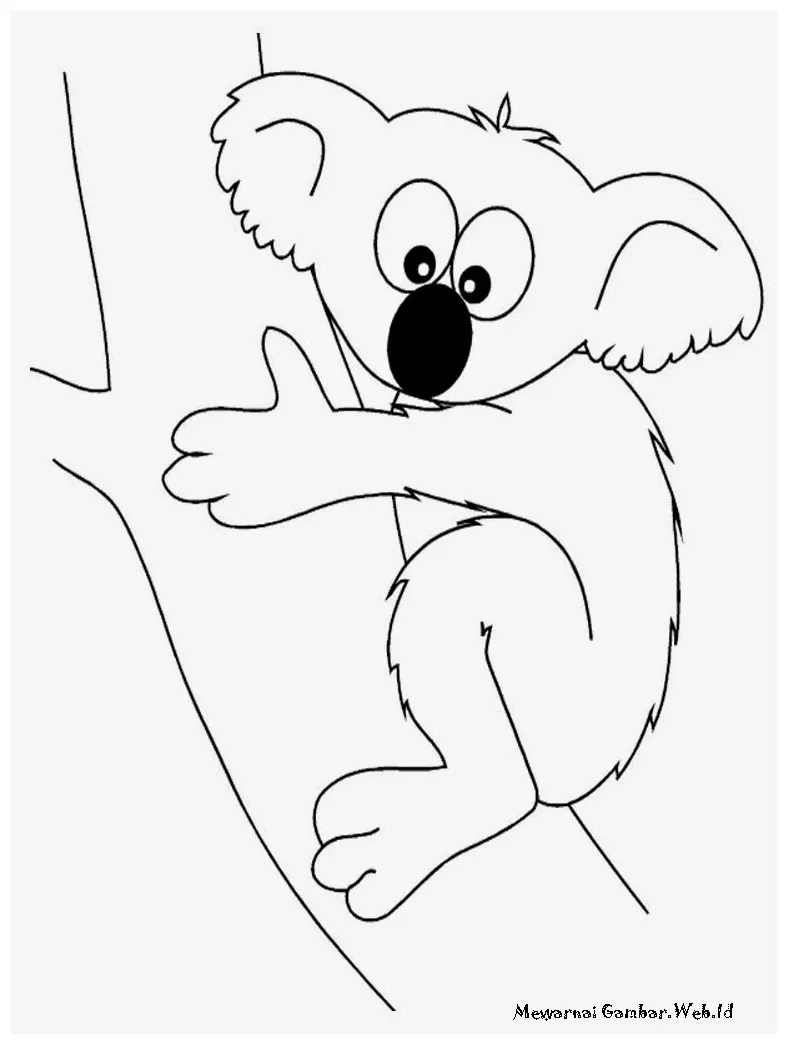 Mewarnai gambar koala imut mewarnai gambar