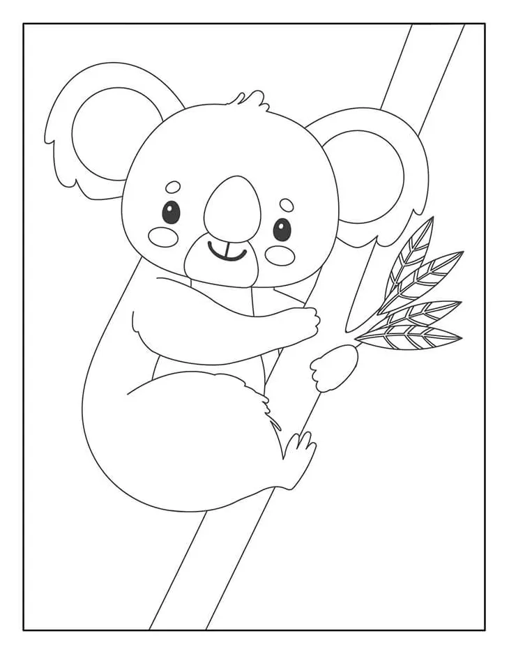 Koala yang bagus