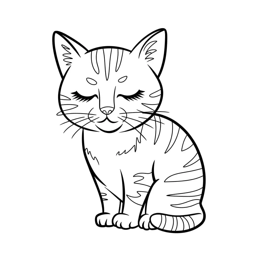 Kucing sedang tidur