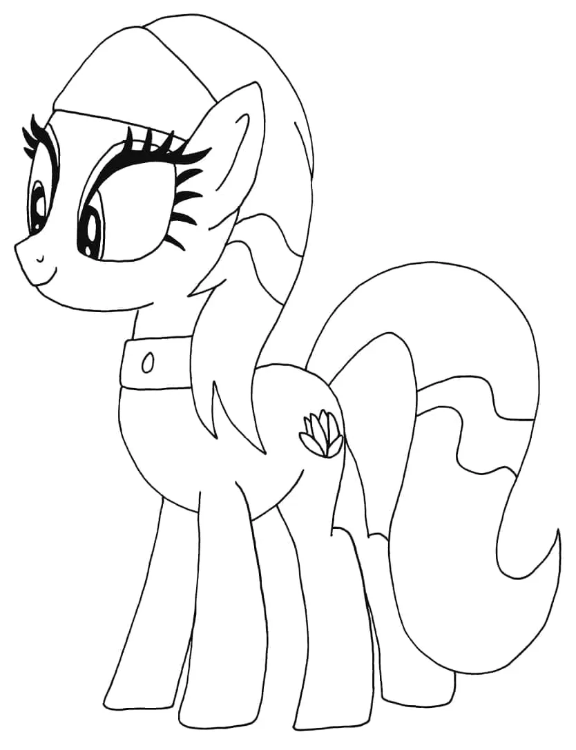 Kuda poni lotus blossom