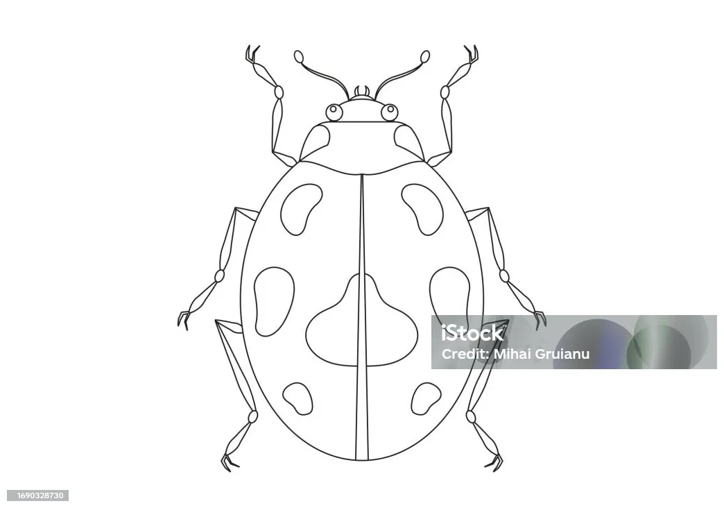 Clipart vektor kumbang hitam dan putih halaman