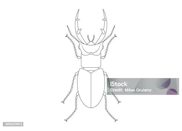 Clipart kumbang rusa raksasa hitam dan putih halaman