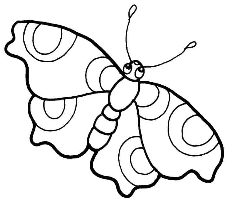 Kupu-kupu cantik 1