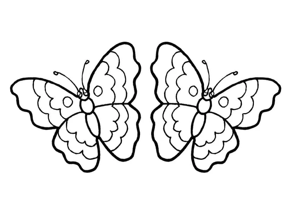 Dua kupu-kupu 1