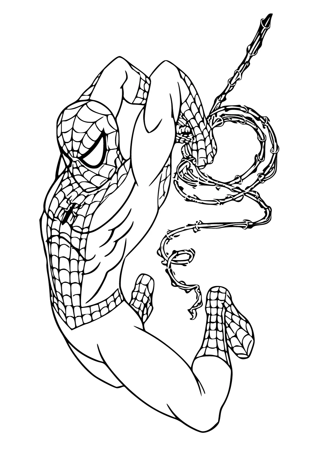 Dapat Dicetak Gratis Spiderman Lingkaran Mewarnai Gambar untuk Dewasa