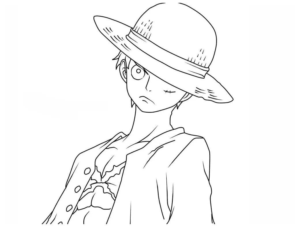 Luffy luar biasa