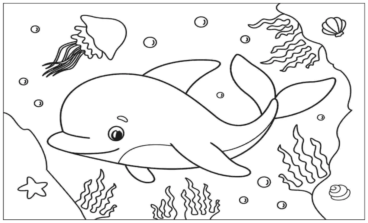 Lumba-lumba dan dua ubur-ubur dengan kerang